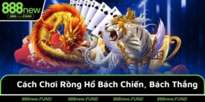Cách Chơi Rồng Hổ Bách Chiến, Bách Thắng Săn Thưởng Đầy Túi