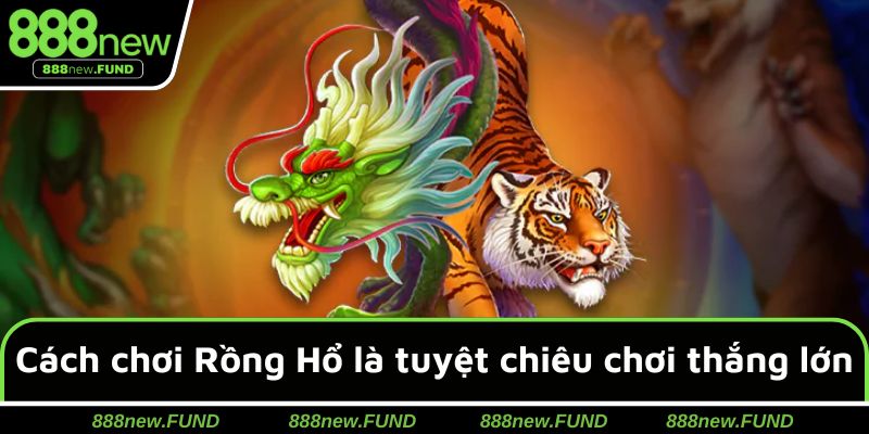 Cách chơi Rồng Hổ là những tuyệt chiêu tham gia thắng lớn