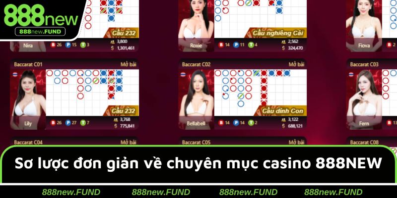 Sơ lược đơn giản về chuyên mục casino 888NEW