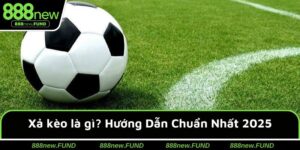 Xả kèo là gì? Hướng Dẫn Cách Sử Dụng Chuẩn Nhất 2025